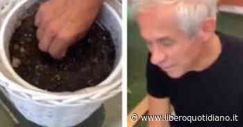 M5s, il deputato Aldo Penna si autodenuncia: "Coltivo erba in casa" - Liberoquotidiano.it