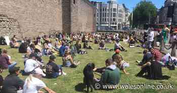 Trans rights campaig criticises plan to drop self identification