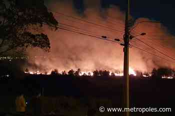 Incêndio atinge terreno ao lado de hospital e assusta moradores de Curitiba - Metrópoles