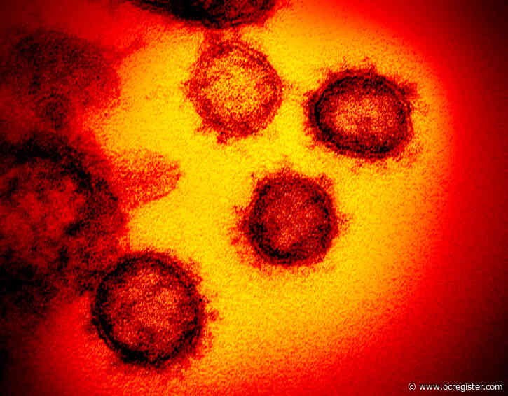 Coronavirus cases trickle into addiction treatment centers; some workers worry