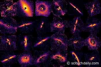 Exoplanet Nurseries Revealed in Rogue’s Gallery of Dusty Star Systems