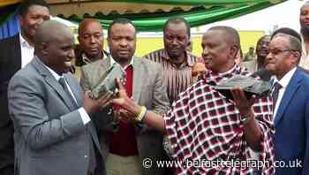 Tanzanian miner becomes overnight millionaire after large gemstone find