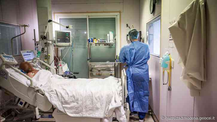 Coronavirus, a Modena nessun caso. A Bologna focolaio nella ditta Bartolini - La Gazzetta di Modena