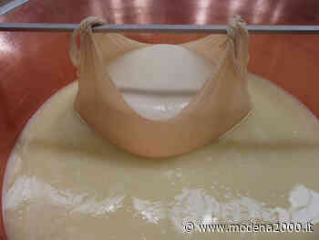 Parmigiano Reggiano, firmato il contratto regionale per oltre 200 caseifici sociali - Modena 2000