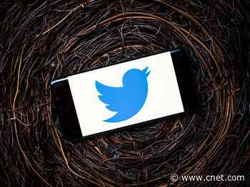 Twitter challenges millions of accounts every week to determine if they're bots or not     - CNET