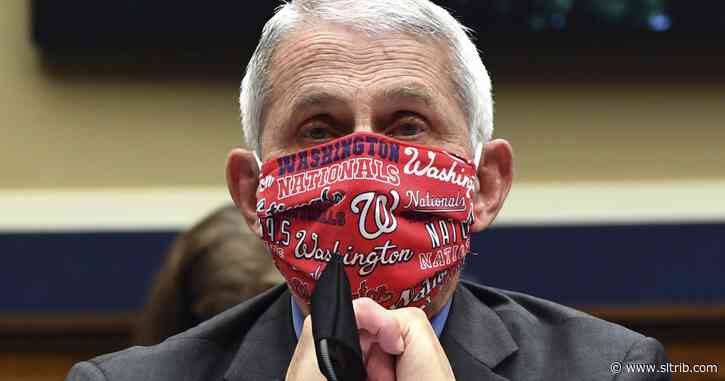 Why our public health leaders didn’t push face masks early and are now regretting it