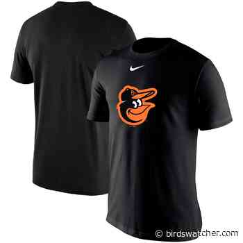Summer must-haves for the Baltimore Orioles fan - Birds Watcher