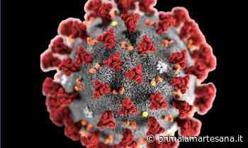 Emergenza Coronavirus - Settala è a zero contagi - Prima la Martesana