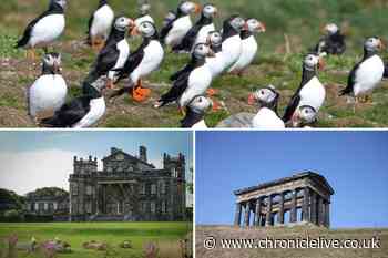 Passionate People, Passionate Places: the best 13 National Trust properties