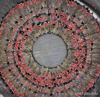 Second and third Arts Project ONLINE to feature visual artists - Penn State News