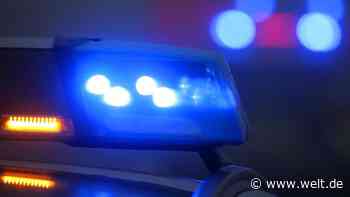 Schleswig-Holstein: Polizei verliert bei Einsatz schussbereite Pistole - WELT