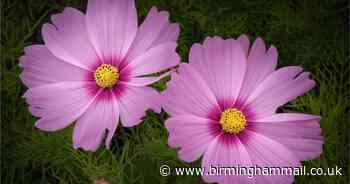 Lichfield Camera Club competition reaches conclusion of round three