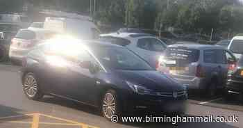 Dog owner confronted by livid shoppers after leaving pet in boiling car