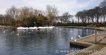 Arrests made as police investigate reports of assault and racial abuse