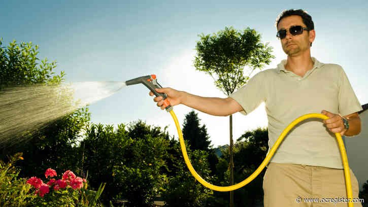 How should you water your plants when the weather turns hot?