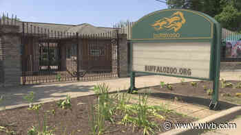 Buffalo Zoo reopening next Thursday to members, Friday to public