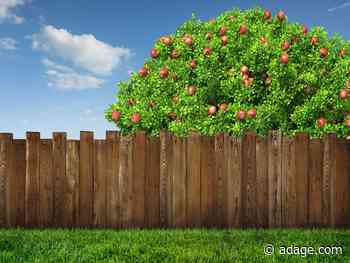 Opinion: Apple's privacy move throws a proprietary wrench into advertising's collaborative process