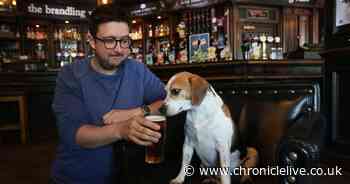 The Newcastle pubs which CAMRA put in the Good Pub Guide
