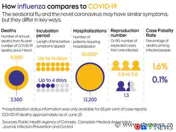 'Perverse logic​': Don't compare the flu to COVID-19