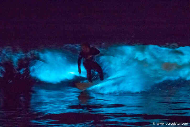 Feel funky after surfing, swimming or watching neon biolumenscent waves or daytime red tide?