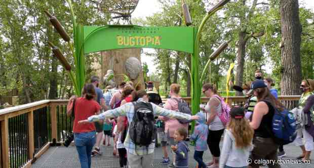 Bugtopia! Ribbon cut at Calgary Zoo's new play structure
