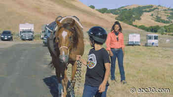 Lifelong equestrian Brianna Noble showed up to Oakland protest on horseback