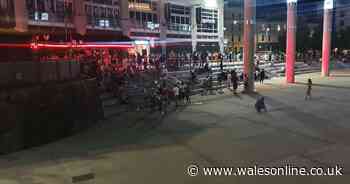 More than 200 people at overnight party that trashed Cardiff's oval basin