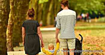 First Minister set to announce decision on support bubbles in Wales next week