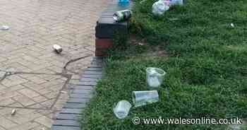 Barry Island residents devastated by appalling scenes at parties