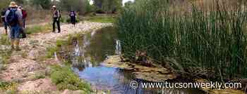 San Pedro River, squeezed by growing population, is subject of multiple lawsuits