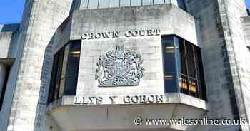 Respected NHS manager jailed for sexually abusing schoolgirl