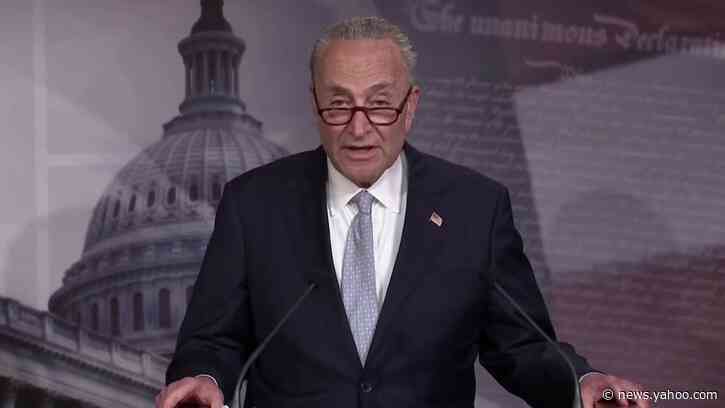 Republican police reform bill 'lacks substance' -Schumer