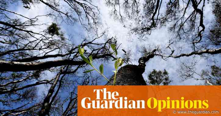 Australia needs a clear plan to address inadequate environmental policy, not buck-passing and hand-wringing