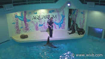 Aquarium of Niagara announces July 4 reopening date