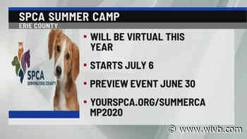 Erie County SPCA virtual summer camp starts on July 6
