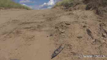 4th teen dies as result of crash near Waldeck, Sask.