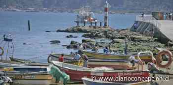 Pescadores artesanales de Coronel debieron esperar resultados Covid-19 en embarcación - Diario Concepción