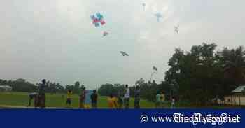Kite flying gets back life - The Daily Star