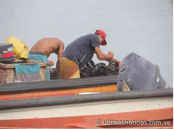 En Sucre centran precios para el sector pesquero - Últimas Noticias