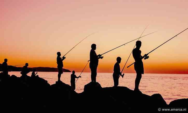 Lange celstraf voor kopstuk phishing-bende