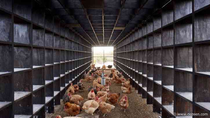 This week, Kengo Kuma designed a chicken coop