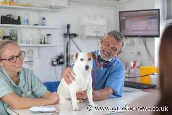 Vet Marcus Harrington, from Ark Veterinary Centre, to retire