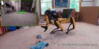 Boston Dynamics will ship Spot with a robot arm ‘in a few months’ and for home use ‘someday’
