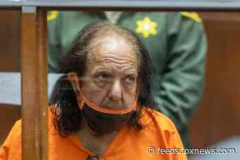 Adult film star Ron Jeremy pleads not guilty to raping 3 women, sexually assaulting a 4th