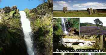 9 hidden beauty spots which are perfect for a summer walk