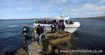 Five tips for a Farne Islands trip post-lockdown to ensure you don't get pecked