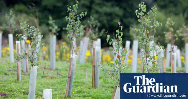 Road to net zero: what the Committee on Climate Change recommends