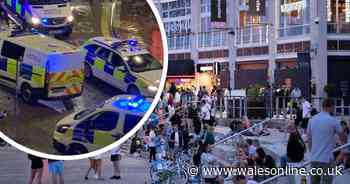 Police break up mass gathering as hundreds of people trash streets