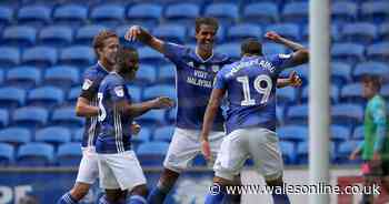 Sky Sports crowd noise: Can you turn it on or off for Preston v Cardiff City