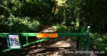 Beauty spot closed for three months due to anti-social behaviour